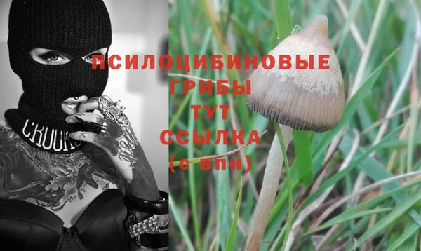 марихуана Богородск