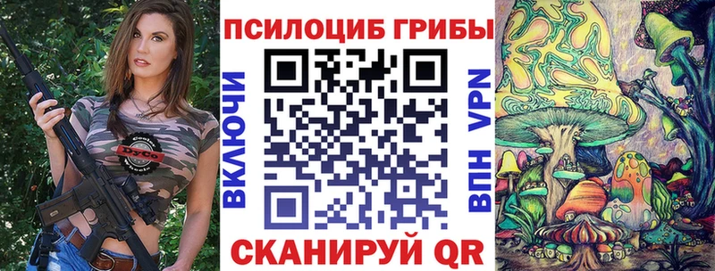 MEGA онион  магазин  наркотиков  Солигалич  Псилоцибиновые грибы Magic Shrooms 